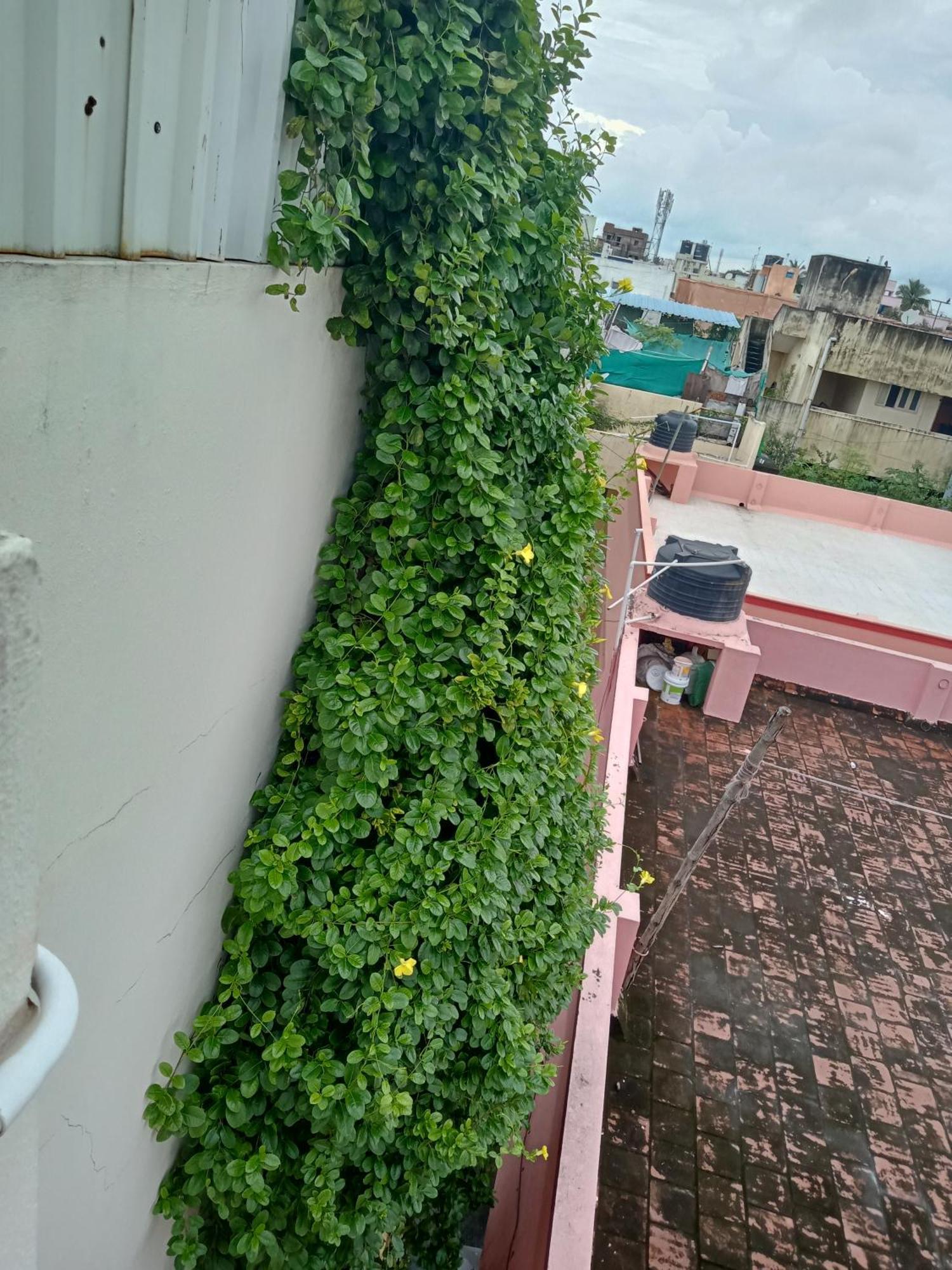 Allamanda Abode Aparthotel Chennai Eksteriør bilde